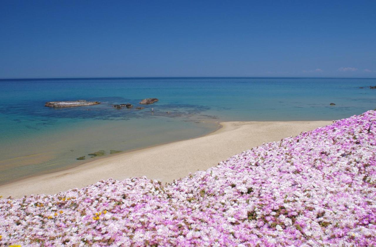 Mansarda Daila Villa Castelsardo Kültér fotó