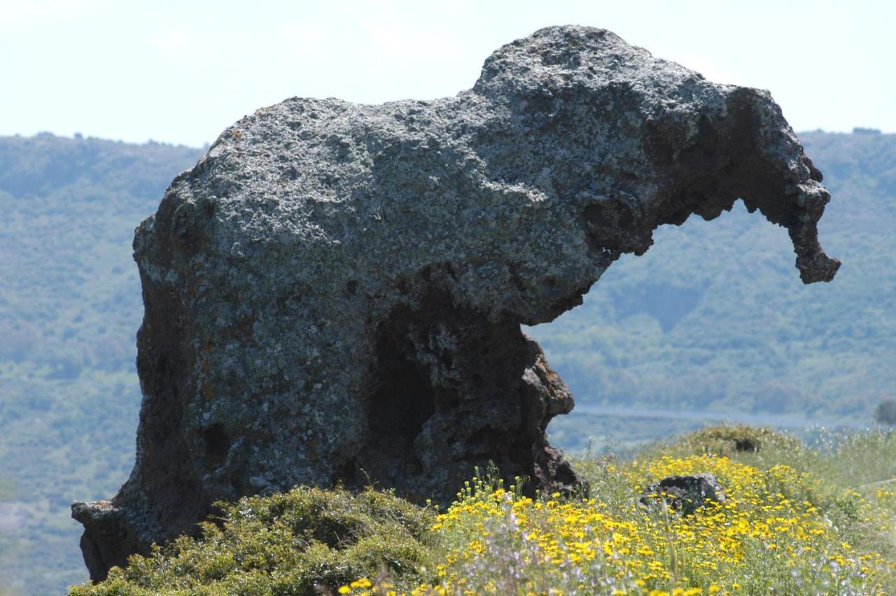 Mansarda Daila Villa Castelsardo Kültér fotó